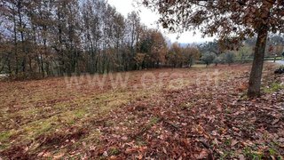 Land for sale in Amarante, Portugal — €215,000