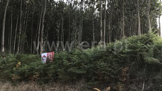 Land for sale in Albergaria-a-Velha, Portugal — €12,500
