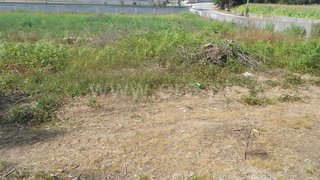 Land for sale in Trofa, Portugal — €390,000