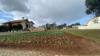 Land for sale in Águeda, Portugal — €60,000