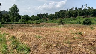 Land for sale in Santa Maria da Feira, Portugal — €80,000