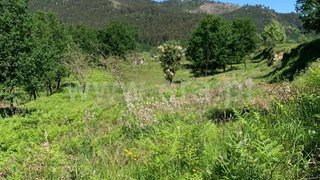 Land for sale in Felgueiras, Portugal — €25,000