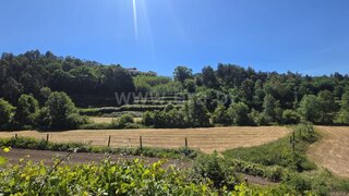 Land for sale in Vale de Cambra, Portugal — €125,000