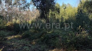 Land for sale in Paredes, Portugal — €32,500