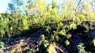 Land for sale in Gondomar, Portugal — €35,000