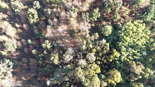 Land for sale in Baião, Portugal — €29,900