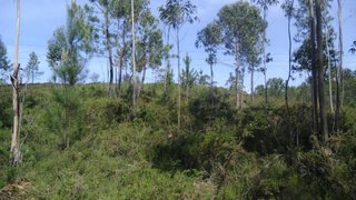 Land for sale in Santo Tirso, Portugal — €50,000