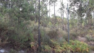 Land for sale in Amarante, Portugal — €65,000