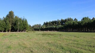 Land for sale in Vagos, Portugal — €40,000