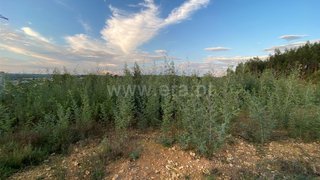 Land for sale in Águeda, Portugal — €40,000