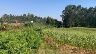 Land for sale in Estarreja, Portugal — €12,000