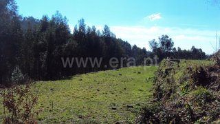 Land for sale in Oliveira de Azeméis, Portugal — €40,500