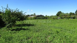 Land for sale in Vale de Cambra, Portugal — €55,000