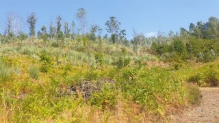 Land for sale in Amarante, Portugal — €52,000
