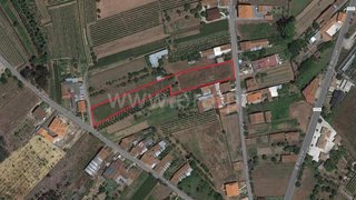 Land for sale in Anadia, Portugal — €72,000