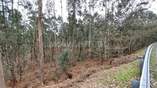Land for sale in Paredes, Portugal