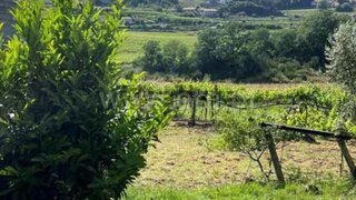 Terreno em Penafiel