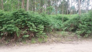 Land for sale in Oliveira de Azeméis, Portugal — €120,000