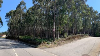 Land for sale in Santa Maria da Feira, Portugal — €320,000