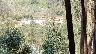 Land for sale in Albergaria-a-Velha, Portugal