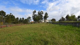 Land for sale in Oliveira do Bairro, Portugal — €58,000