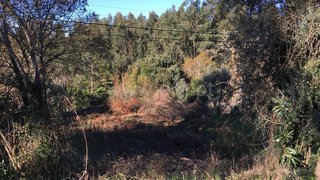 Land for sale in Albergaria-a-Velha, Portugal — €25,000