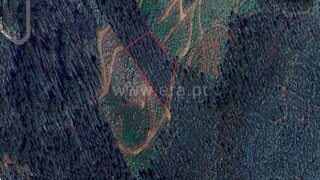 Land for sale in Vale de Cambra, Portugal — €19,380