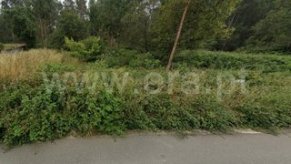 Land for sale in Albergaria-a-Velha, Portugal — €58,700