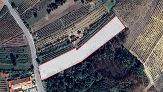 Land for sale in Anadia, Portugal — €38,000