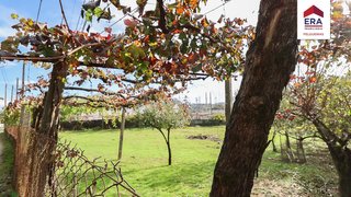 Land for sale in Felgueiras, Portugal