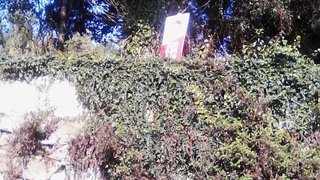 Land for sale in Gondomar, Portugal — €2,000,000