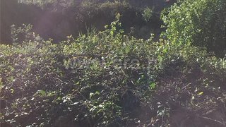 Land for sale in Gondomar, Portugal — €77,500