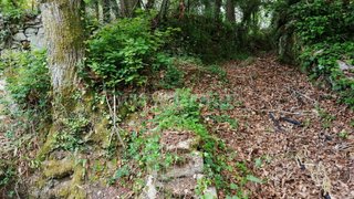 Land for sale in Sever do Vouga, Portugal — €55,000