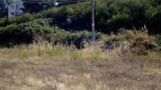 Land for sale in Gondomar, Portugal — €3,900,000