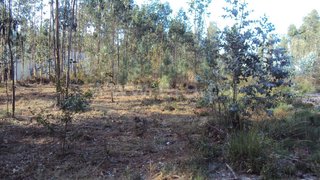 Land for sale in Oliveira de Azeméis, Portugal — €66,150