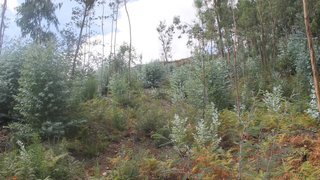 Land for sale in Vale de Cambra, Portugal — €16,150