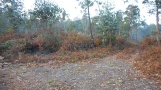 Land for sale in Oliveira de Azeméis, Portugal — €100,000