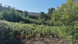 Terreno para venda em Oliveira de Azeméis, Portugal — 23 520 €