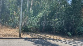 Land for sale in Albergaria-a-Velha, Portugal — €42,500