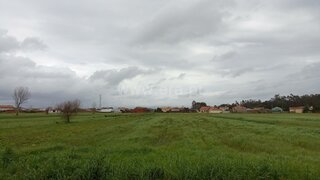 Land for sale in Murtosa, Portugal — €9,690