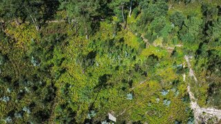 Terreno em Santo Tirso