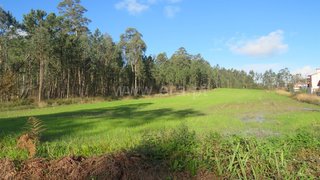 Land for sale in Oliveira de Azeméis, Portugal — €72,500