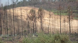 Land for sale in Gondomar, Portugal — €216,000
