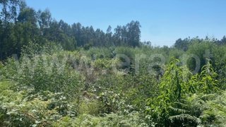 Land for sale in Albergaria-a-Velha, Portugal — €270,000