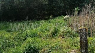Land for sale in Penafiel, Portugal — €32,500