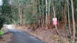 Land for sale in Gondomar, Portugal — €60,000
