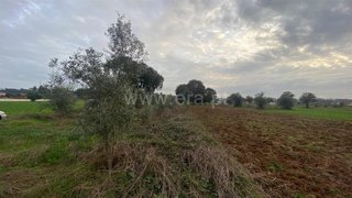 Land for sale in Águeda, Portugal — €35,000