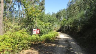 Land for sale in Vale de Cambra, Portugal — €36,000