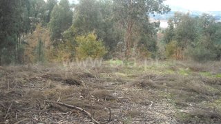 Land for sale in Amarante, Portugal — €55,000