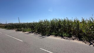 Terreno para venda em Ovar, Portugal — 29 000 €